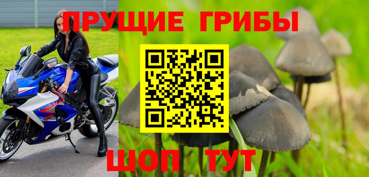 Галлюциногенные грибы GOLDEN TEACHER Балашиха