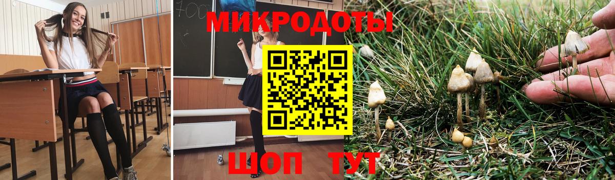 Псилоцибиновые грибы Psilocybine cubensis Балашиха