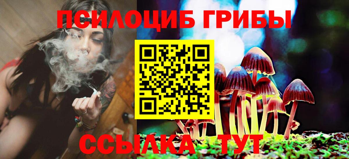 Балашиха  Галлюциногенные грибы мицелий  Вход с VPN 